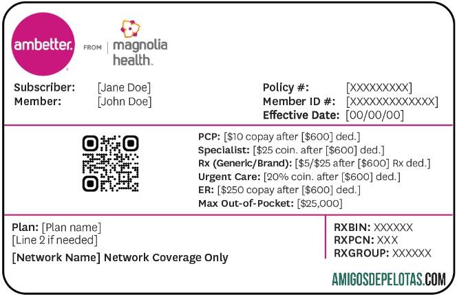 Cartão de seguro saúde do Mississippi exemplo real